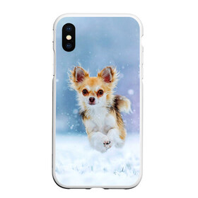 Чехол для iPhone XS Max матовый с принтом Чихуахуа в снегу в Тюмени, Силикон | Область печати: задняя сторона чехла, без боковых панелей | dog | животные | зима | пес | природа | снег | собака | собаки | собакчка | собачки | чихуа хуа | чихуахуа