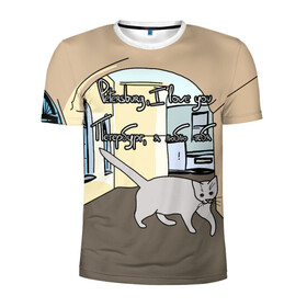Мужская футболка 3D спортивная с принтом Петербургский кот в Тюмени, 100% полиэстер с улучшенными характеристиками | приталенный силуэт, круглая горловина, широкие плечи, сужается к линии бедра | кот | кошки | петербург | питерские дворы | романтика | санкт петербург | я люблю тебя