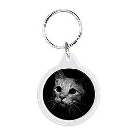 Брелок круглый с принтом Чёрный кот в Тюмени, пластик и полированная сталь | круглая форма, металлическое крепление в виде кольца | Тематика изображения на принте: животное | кот | кошка | тёмный рисунок | чёрный фон