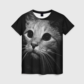 Женская футболка 3D с принтом Чёрный кот в Тюмени, 100% полиэфир ( синтетическое хлопкоподобное полотно) | прямой крой, круглый вырез горловины, длина до линии бедер | животное | кот | кошка | тёмный рисунок | чёрный фон