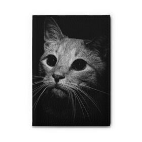 Обложка для автодокументов с принтом Чёрный кот в Тюмени, натуральная кожа |  размер 19,9*13 см; внутри 4 больших “конверта” для документов и один маленький отдел — туда идеально встанут права | Тематика изображения на принте: животное | кот | кошка | тёмный рисунок | чёрный фон