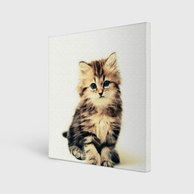 Холст квадратный с принтом котёнок в Тюмени, 100% ПВХ |  | cute kitten | kitten | котёнок | красивый котёнок | милый котёнок