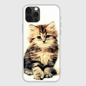 Чехол для iPhone 12 Pro Max с принтом котёнок в Тюмени, Силикон |  | Тематика изображения на принте: cute kitten | kitten | котёнок | красивый котёнок | милый котёнок