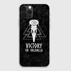 Чехол для iPhone 12 Pro Max с принтом Victory or Valhalla в Тюмени, Силикон |  | вальхалла | викинг | ворон | символ | скандинавия | череп | язычество