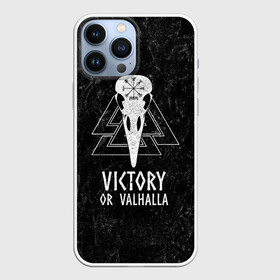 Чехол для iPhone 13 Pro Max с принтом Victory or Valhalla в Тюмени,  |  | вальхалла | викинг | ворон | символ | скандинавия | череп | язычество