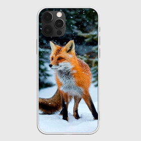 Чехол для iPhone 12 Pro Max с принтом Лиса в зимнем лесу в Тюмени, Силикон |  | Тематика изображения на принте: fox | foxy | в | животные | звери | зима | зимний | зимняя | лес | лиса | лисичка | лисы | природа | снег | снежная
