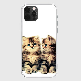 Чехол для iPhone 12 Pro Max с принтом котята в Тюмени, Силикон |  | cute kittens | kittens | котята | красивые котята | милые котята