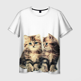 Мужская футболка 3D с принтом котята в Тюмени, 100% полиэфир | прямой крой, круглый вырез горловины, длина до линии бедер | Тематика изображения на принте: cute kittens | kittens | котята | красивые котята | милые котята