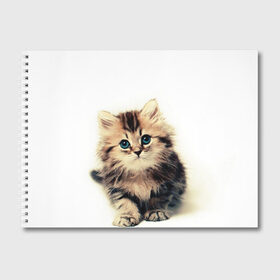 Альбом для рисования с принтом катёнок в Тюмени, 100% бумага
 | матовая бумага, плотность 200 мг. | cute kitten | kitten | котёнок | красивый котёнок | милый котёнок