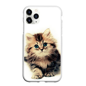 Чехол для iPhone 11 Pro Max матовый с принтом катёнок в Тюмени, Силикон |  | Тематика изображения на принте: cute kitten | kitten | котёнок | красивый котёнок | милый котёнок