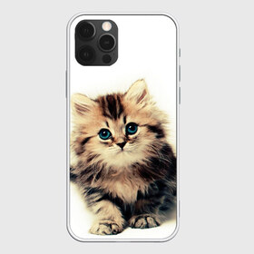 Чехол для iPhone 12 Pro Max с принтом катёнок в Тюмени, Силикон |  | Тематика изображения на принте: cute kitten | kitten | котёнок | красивый котёнок | милый котёнок