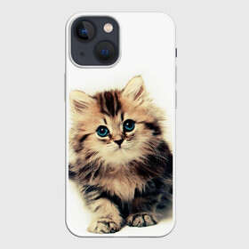 Чехол для iPhone 13 mini с принтом катёнок в Тюмени,  |  | cute kitten | kitten | котёнок | красивый котёнок | милый котёнок