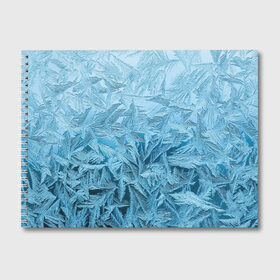 Альбом для рисования с принтом Иней в Тюмени, 100% бумага
 | матовая бумага, плотность 200 мг. | Тематика изображения на принте: абстрактные | абстрактный | абстракция | зима | зимние | зимний | изморозь | иней | лёд | льды | мороз | новый год | холод