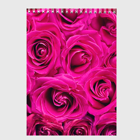 Скетчбук с принтом Розы в Тюмени, 100% бумага
 | 48 листов, плотность листов — 100 г/м2, плотность картонной обложки — 250 г/м2. Листы скреплены сверху удобной пружинной спиралью | абстрактно | абстрактные | абстрактный | абстракция | красные | роза | розовые | розы | цветок | цветочек | цветочки | цветочный | цветы