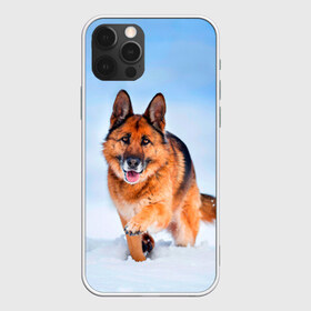 Чехол для iPhone 12 Pro Max с принтом Овчарка и снег в Тюмени, Силикон |  | dog | животные | зима | овчарка | пес | природа | снег | собака | собаки | собакчка | собачки