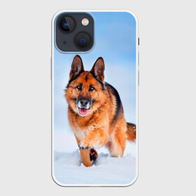 Чехол для iPhone 13 mini с принтом Овчарка и снег в Тюмени,  |  | dog | животные | зима | овчарка | пес | природа | снег | собака | собаки | собакчка | собачки