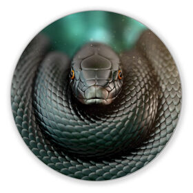 Коврик для мышки круглый с принтом Чёрная мамба в Тюмени, резина и полиэстер | круглая форма, изображение наносится на всю лицевую часть | блеск | гад | змея | мамба | хладнокровный | чёрная | чешуя