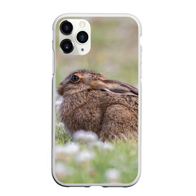 Чехол для iPhone 11 Pro Max матовый с принтом Зайчонок в Тюмени, Силикон |  | животное | животные | зайцы | зайчик | зайчики | зайчонок | заяц | звери | зверь | природа | природный