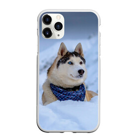 Чехол для iPhone 11 Pro матовый с принтом Хаски в Тюмени, Силикон |  | dog | животные | пес | природа | собака | собаки | собакчка | собачки | хаски
