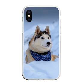 Чехол для iPhone XS Max матовый с принтом Хаски в Тюмени, Силикон | Область печати: задняя сторона чехла, без боковых панелей | dog | животные | пес | природа | собака | собаки | собакчка | собачки | хаски