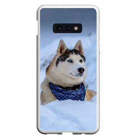 Чехол для Samsung S10E с принтом Хаски в Тюмени, Силикон | Область печати: задняя сторона чехла, без боковых панелей | dog | животные | пес | природа | собака | собаки | собакчка | собачки | хаски