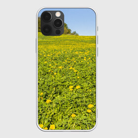 Чехол для iPhone 12 Pro Max с принтом Поле одуванчиков в Тюмени, Силикон |  | Тематика изображения на принте: одуванчики | одуванчиков | пейзаж | пейзажи | поле | поля | природа | природный | растение | растения | флора | цветок | цветы