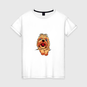 Женская футболка хлопок с принтом Ши Тцу в Тюмени, 100% хлопок | прямой крой, круглый вырез горловины, длина до линии бедер, слегка спущенное плечо | домашнее животное | звери | картинки | милый | мультфильмы | популярные | прикольные | собака | ши тцу | щенок
