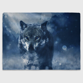 Плед 3D с принтом Красивый волк в Тюмени, 100% полиэстер | закругленные углы, все края обработаны. Ткань не мнется и не растягивается | wolf | ауф | волк | волчонок | зима | синеглазый волк