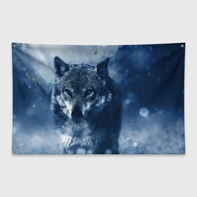 Флаг-баннер с принтом Красивый волк в Тюмени, 100% полиэстер | размер 67 х 109 см, плотность ткани — 95 г/м2; по краям флага есть четыре люверса для крепления | wolf | ауф | волк | волчонок | зима | синеглазый волк