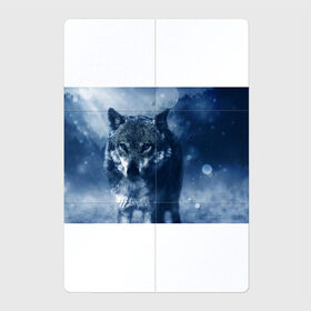 Магнитный плакат 2Х3 с принтом Красивый волк в Тюмени, Полимерный материал с магнитным слоем | 6 деталей размером 9*9 см | wolf | ауф | волк | волчонок | зима | синеглазый волк