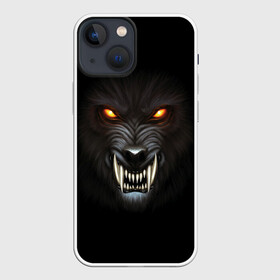 Чехол для iPhone 13 mini с принтом Злой Волк в Тюмени,  |  | wolf | волк | волкодав | волколак | волчара | вурдалак | зверь | зов волка | морской волк | оборотень | оскал | рисунок волка | санитар леса | серый волк | хищник | чертог волка | эра волка