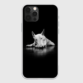 Чехол для iPhone 12 Pro Max с принтом Puppy в Тюмени, Силикон |  | bull terrier | dog | ears | eyes | muzzle | nose | paws | puppy | бультерьер | глаза | лапы | нос | уши | щенок