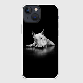 Чехол для iPhone 13 mini с принтом Puppy в Тюмени,  |  | bull terrier | dog | ears | eyes | muzzle | nose | paws | puppy | бультерьер | глаза | лапы | нос | уши | щенок