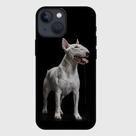 Чехол для iPhone 13 mini с принтом Bully в Тюмени,  |  | bull terrier | dog | ears | eyes | fangs | jaw | muzzle | paws | saliva | tongue | бультерьер | глаза | клыки | лапы | нос | пасть | слюна | собака | уши | язык