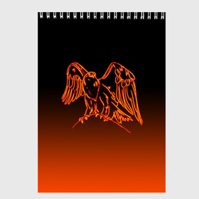 Скетчбук с принтом Огненный орел в Тюмени, 100% бумага
 | 48 листов, плотность листов — 100 г/м2, плотность картонной обложки — 250 г/м2. Листы скреплены сверху удобной пружинной спиралью | bird | eagle | falcon | fiery | fire | neon | orange | арт | беркут | горящая птица | дикий | животные | крылья | неоновый | огненная птица | орел | орлан | перья | пламя | природа | птица | птица огонь | птичка | сокол