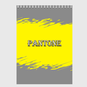 Скетчбук с принтом Grey and Illuminating Yellow в Тюмени, 100% бумага
 | 48 листов, плотность листов — 100 г/м2, плотность картонной обложки — 250 г/м2. Листы скреплены сверху удобной пружинной спиралью | 2021 | antone | design | grey | illuminating | pantone | silver | ultimate grey | yellow | безупречный серый | дизайн | дизайнерский | логотип | надпись | освещающий | серебряный | текстура | тренд года | трендовые цвета | цвет | цвет 2021 г