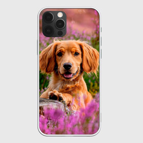 Чехол для iPhone 12 Pro Max с принтом Dog в Тюмени, Силикон |  | dog | животные | пес | природа | собака | собаки | собакчка | собачки