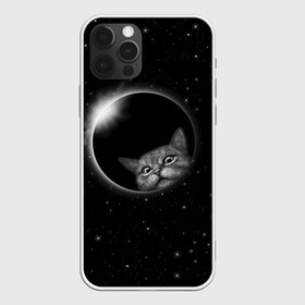 Чехол для iPhone 12 Pro Max с принтом Кот в Космосе в Тюмени, Силикон |  | Тематика изображения на принте: 2021 | cat | вселенная | галактика | галактический кот | единорог | звезда | звезды | земля | космический кот | космос | кот | кот в космосе | кот мем | котик | кошак | мем | мемы | милый кот | милый котик