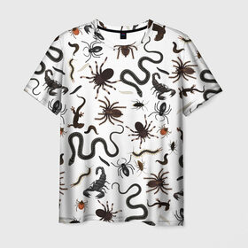 Мужская футболка 3D с принтом Жуткие насекомые в Тюмени, 100% полиэфир | прямой крой, круглый вырез горловины, длина до линии бедер | арт | белый | живность | животные | жук | жуткие насекомые | жуть | змея | клоп | набор насекомых | опарыш | паразит | паук | пиявка | рисунок | сколопендра | скорпион | таракан | фон | червь | ядовитый