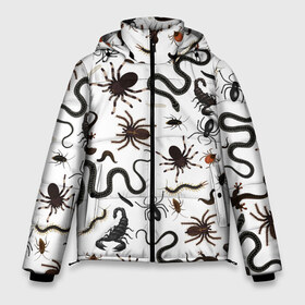 Мужская зимняя куртка 3D с принтом Жуткие насекомые в Тюмени, верх — 100% полиэстер; подкладка — 100% полиэстер; утеплитель — 100% полиэстер | длина ниже бедра, свободный силуэт Оверсайз. Есть воротник-стойка, отстегивающийся капюшон и ветрозащитная планка. 

Боковые карманы с листочкой на кнопках и внутренний карман на молнии. | Тематика изображения на принте: арт | белый | живность | животные | жук | жуткие насекомые | жуть | змея | клоп | набор насекомых | опарыш | паразит | паук | пиявка | рисунок | сколопендра | скорпион | таракан | фон | червь | ядовитый