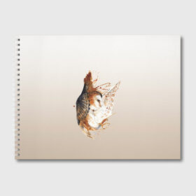 Альбом для рисования с принтом летящая сова рисунок в Тюмени, 100% бумага
 | матовая бумага, плотность 200 мг. | акварель | акварельный | арт | брызги | градиент | животные | звери | краска | крылья | момент | полет | потеки | рисунок | скетч | сова | филин