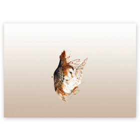 Поздравительная открытка с принтом летящая сова рисунок в Тюмени, 100% бумага | плотность бумаги 280 г/м2, матовая, на обратной стороне линовка и место для марки
 | акварель | акварельный | арт | брызги | градиент | животные | звери | краска | крылья | момент | полет | потеки | рисунок | скетч | сова | филин