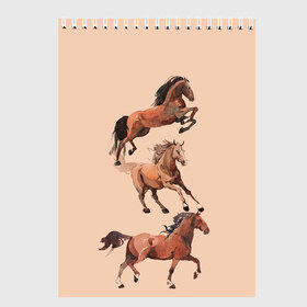 Скетчбук с принтом три коня в Тюмени, 100% бумага
 | 48 листов, плотность листов — 100 г/м2, плотность картонной обложки — 250 г/м2. Листы скреплены сверху удобной пружинной спиралью | Тематика изображения на принте: horse | horseshoe | акварель | головалошади | грива | жеребец | животные | конь | лошадь | лошадьскрыльями | подкова | природа | рисуноккрасками