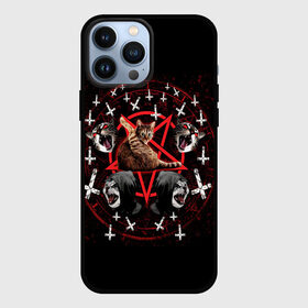Чехол для iPhone 13 Pro Max с принтом Satanic Cat в Тюмени,  |  | Тематика изображения на принте: satan | киска | кот | кот мем | кошечка | кошка | кошки и коты | лиса | лисы | мем | мемы | с кошкой | сатана