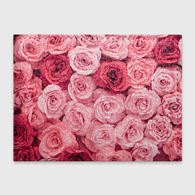Обложка для студенческого билета с принтом Розовые Розы в Тюмени, натуральная кожа | Размер: 11*8 см; Печать на всей внешней стороне | Тематика изображения на принте: pink | rose | день святого валентина | красивый | любовь | прекрасный | роза | цветок | цветы