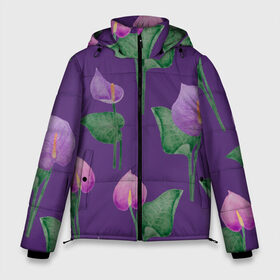 Мужская зимняя куртка 3D с принтом Антуриумы на фиолетовом фоне в Тюмени, верх — 100% полиэстер; подкладка — 100% полиэстер; утеплитель — 100% полиэстер | длина ниже бедра, свободный силуэт Оверсайз. Есть воротник-стойка, отстегивающийся капюшон и ветрозащитная планка. 

Боковые карманы с листочкой на кнопках и внутренний карман на молнии. | 8 марта | flowers | summer | антуриумы | весна | зеленый | лето | листья | праздник | природа | растения | фиолетовый | цветы