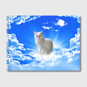 Альбом для рисования с принтом Кот в облаках в Тюмени, 100% бумага
 | матовая бумага, плотность 200 мг. | animals | cat | kitty | ангел | белый кот | блики | взгляд кота | глаза кота | животные | киска | кот | котейка | котенок | котик | кошак | кошка | лучи | мордочка | небесный | небо | облака | пейзаж | питомец