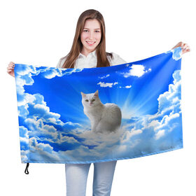 Флаг 3D с принтом Кот в облаках в Тюмени, 100% полиэстер | плотность ткани — 95 г/м2, размер — 67 х 109 см. Принт наносится с одной стороны | animals | cat | kitty | ангел | белый кот | блики | взгляд кота | глаза кота | животные | киска | кот | котейка | котенок | котик | кошак | кошка | лучи | мордочка | небесный | небо | облака | пейзаж | питомец
