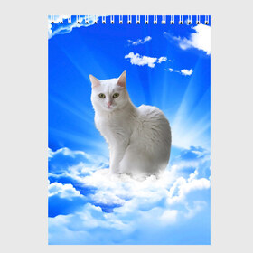 Скетчбук с принтом Кот в облаках в Тюмени, 100% бумага
 | 48 листов, плотность листов — 100 г/м2, плотность картонной обложки — 250 г/м2. Листы скреплены сверху удобной пружинной спиралью | animals | cat | kitty | ангел | белый кот | блики | взгляд кота | глаза кота | животные | киска | кот | котейка | котенок | котик | кошак | кошка | лучи | мордочка | небесный | небо | облака | пейзаж | питомец