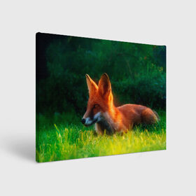 Холст прямоугольный с принтом Рыжая лиса в Тюмени, 100% ПВХ |  | fox | foxy | животное | звери | лиса | лисенок | лисичка | милая | рыжая | фокс